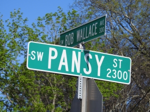 2344-2346 Pansy Street